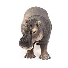 Schleich Hippopotamus