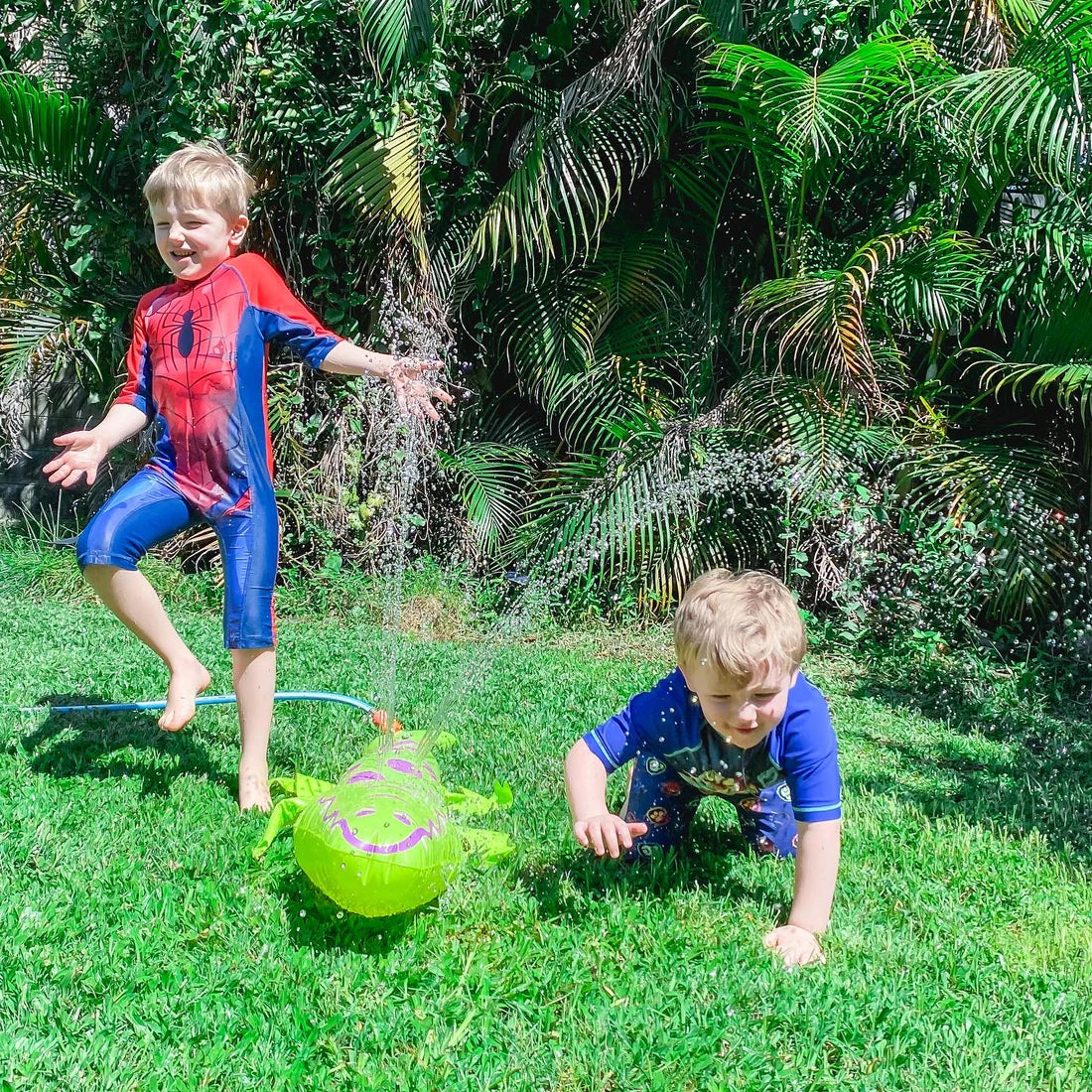 Gator Backyard Critter