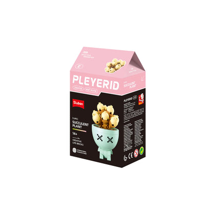 Sluban B 1076D Potted Plants Succulents CDU 6 Assorted