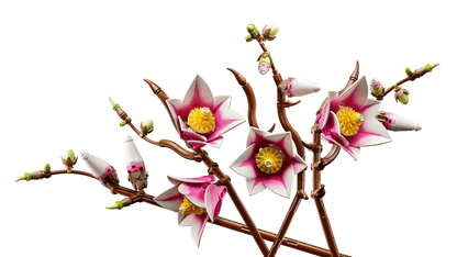 LEGO 11510 Botanicals Magnolia Branches