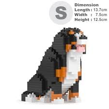 Bernese Mountain Dog Mini 01S