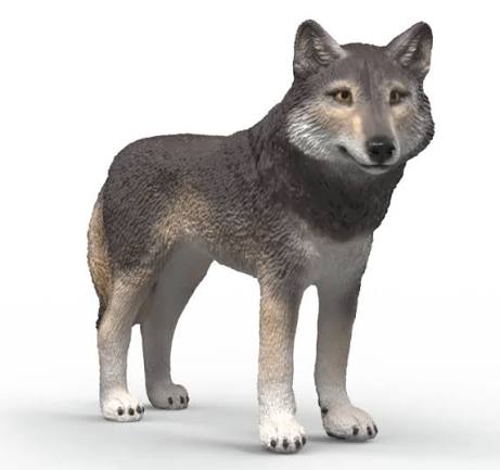 Schleich Wolf