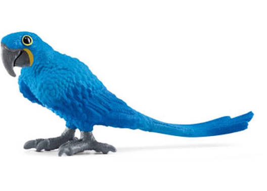 Schliech Hyzinith Macaw