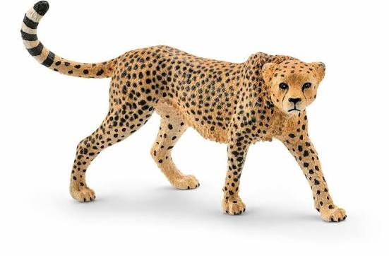 Schleich Cheetah Female